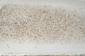 Plane Polarized, S64410