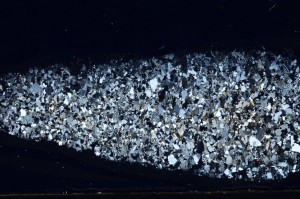 Cross Polarized, S64411