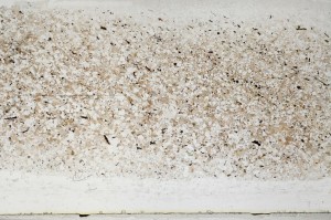 Plane Polarized, S64414