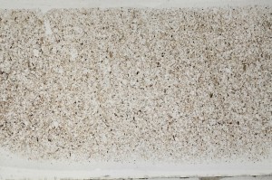 Plane Polarized, S64418