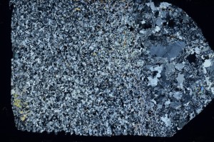 Cross Polarized, S64419