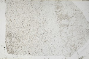 Plane Polarized, S64419