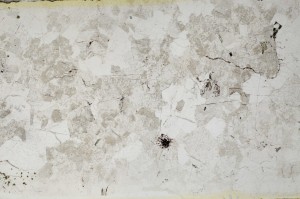 Plane Polarized, S64420