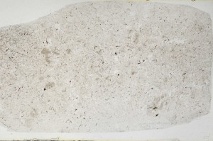 Plane Polarized, S64421