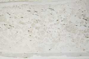 Plane Polarized, S64422