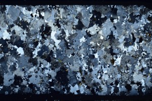 Cross Polarized, S64423