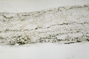 Plane Polarized, S64430