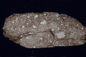 Cross Polarized, S64435