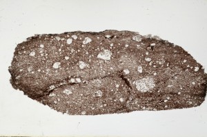 Plane Polarized, S64435