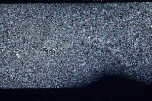 Cross Polarized, S64436