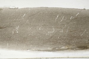 Plane Polarized, S64437