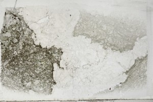 Plane Polarized, S64441