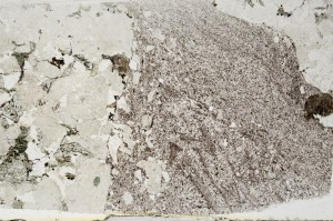 Plane Polarized, S64442