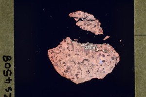 Cross Polarized, S64458