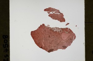 Plane Polarized, S64458