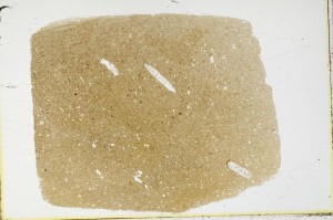 Plane Polarized, S64460