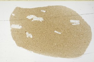 Plane Polarized, S64462