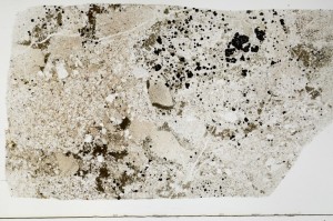 Plane Polarized, S64500