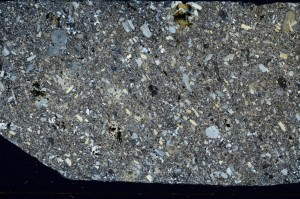 Cross Polarized, S64503