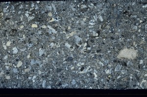 Cross Polarized, S64504