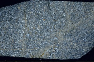 Cross Polarized, S64505