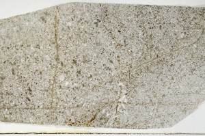 Plane Polarized, S64505