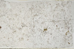 Plane Polarized, S64509