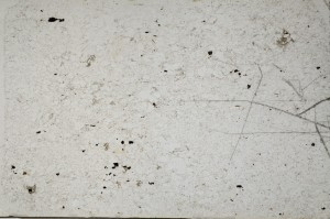 Plane Polarized, S64519