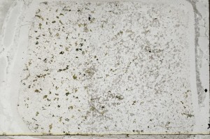 Plane Polarized, S64526