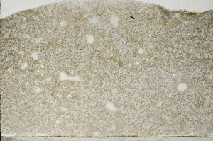 Plane Polarized, S64528