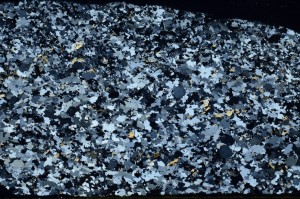 Cross Polarized, S64535