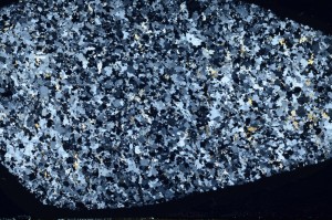 Cross Polarized, S64536