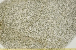 Plane Polarized, S64573