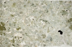 Plane Polarized, S64585