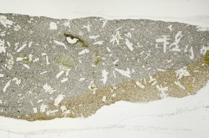 Plane Polarized, S64588