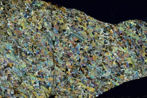 Cross Polarized, S64589