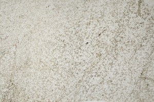 Plane Polarized, S64592