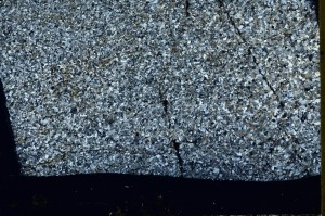 Cross Polarized, S64594