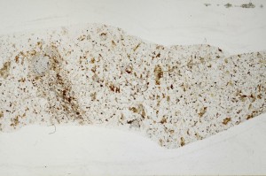 Plane Polarized, S64605
