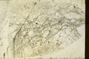 Plane Polarized, S64615