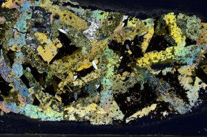 Cross Polarized, S64780