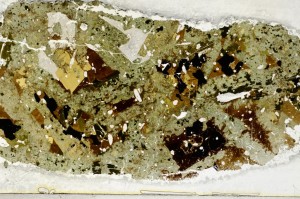 Plane Polarized, S64780