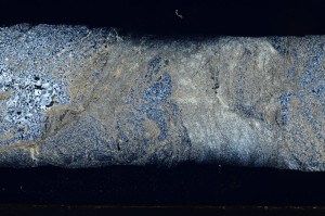 Cross Polarized, S64786