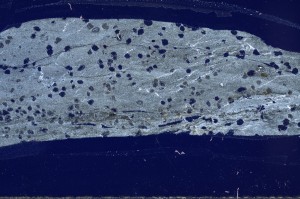 Cross Polarized, S64793