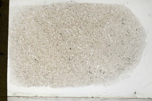 Plane Polarized, S64841