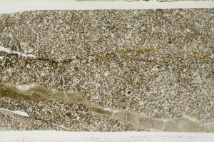 Plane Polarized, S64845