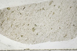 Plane Polarized, S64864