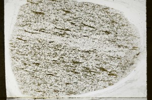 Plane Polarized, S64866