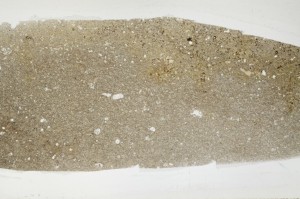 Plane Polarized, S64918