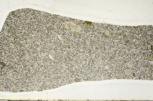 Plane Polarized, S64922